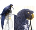 2020 Lamp papegaai blauw 600